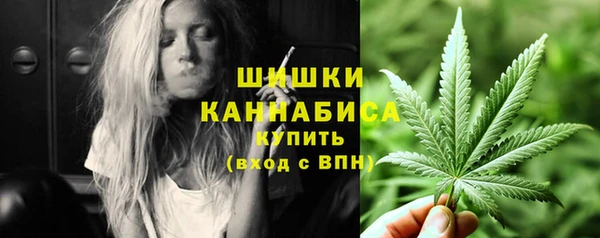 стаф Кукмор